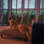 Robert Wilby - @robertwilby32 - Instagram