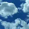 Robert Wilkens - @robert.wilkens - TikTok