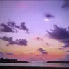 Robert Wilkinson - @robertwilkinson24 - TikTok