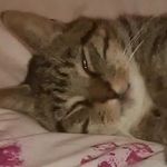 Robert Wilkinson - @robertwilkinson9991 - Instagram