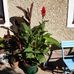 Robert Willinger - Facebook