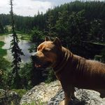Robert Willis - @robertwillis05 - Instagram