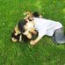 Robert Willmore - Facebook
