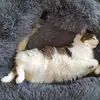 Liah - @robert.wilms - TikTok