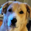 robertwilms481 - @robertwilms481 - TikTok