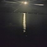 Robert Wiltz - @robwiltz203 - Instagram