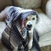 Robert Winch - Facebook