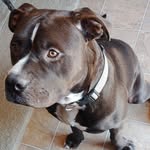 Robert Windle - @robert.windle.549 - Instagram