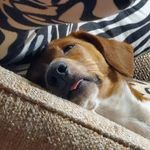 Robert Windham - @robert_windham1122 - Instagram