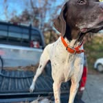 Robert Winemiller - @winemiller.tree - Instagram