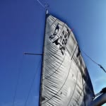 Robert Wingrove - @wingrove642 - Instagram