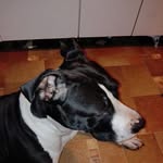 Robert Winnicki - @robert.winnicki.56 - Instagram