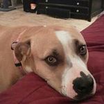 Robert Winsor - @winsor.robert - Instagram