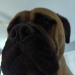 Robert Winsor - @robert_winsor - Instagram