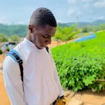 Robert Wirekoh - @robert.wirekoh - Instagram