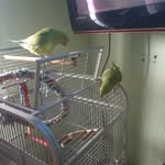 Robert Wise - @wiseyboy_25 - Instagram