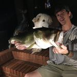 Robert Wise - @wilbywise - Instagram