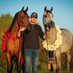 Robert Witkowski - @robert_witkowski - Instagram