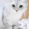 robert witkowski - @robert.witkowski1 - TikTok