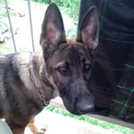 Robert Wittich - @wittich.robert - Instagram