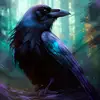robert_wolf76 - @robert_wolf76 - TikTok