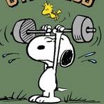 @robert_wolfe_gym - Instagram