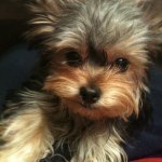 Jackie Wolfenbarger Roberts - @lexi_grace_16 - Instagram