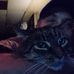 Robert Wolfgang - Facebook
