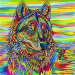 Robert Wolfgang - @bigwolfangler - Instagram