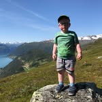 Robert Wollmann - @robert.wollmann - Instagram