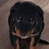 holly - @robertworlin5 - TikTok
