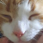 robert worm - @wiggly_round_worm - Instagram