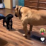 Robert Nikko Wortham - @robertwortham - Instagram