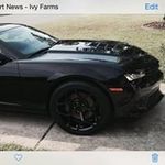Robert Worth - @worth.robert - Instagram