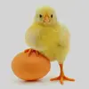 Robert Worthingto776 - @robertworthingto77 - TikTok