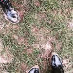 Robert Wrenn - @ratanarickiro - Instagram