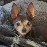 Robert Wright - @robertwright.92004 - Instagram