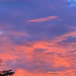 Robert Wu - @bobbywzl - Instagram