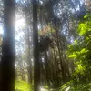 吳建德 - @robertwu27 - TikTok