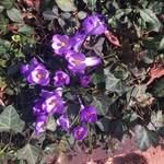 Robert Wykes - @wykes_robert - Instagram
