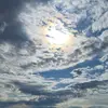 Robert Wyss - @robert.wyss - TikTok