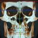 Robert Wyszkowski - Facebook
