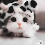 Robert Wyszkowski - @coloring7024 - Instagram