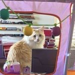 Robert Yablonski - @robertyablonski - Instagram