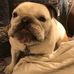 Robert Yanus - Facebook