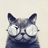 YardRobert - @yardrobert - TikTok