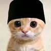 ROBERT YZT - @robert_yrtz - TikTok