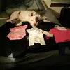 Robert Yeakey - @robertyeakey - TikTok