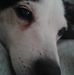 Robert Yeoman - Facebook