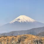 Robertyip - @robertyip6 - Instagram